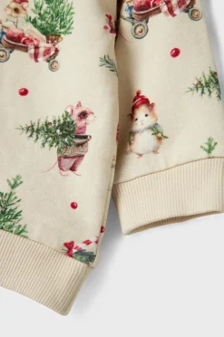 Name it baby Sweatshirt Nbnrenu LS Sweat Bru Peyote melange Online