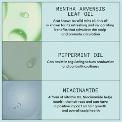 Nioxin Scalp RECOVERY™ Kit No Color Discount