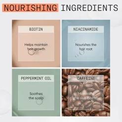 Nioxin System 4 Trial Kit No Color Online