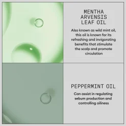 Nioxin Volumizing Dry Shampoo 180 Ml No Color Online