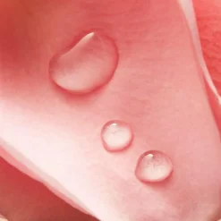 Nivea Øjenmakeupfjerner Glow Eye Make-up Remover 125 ml Best