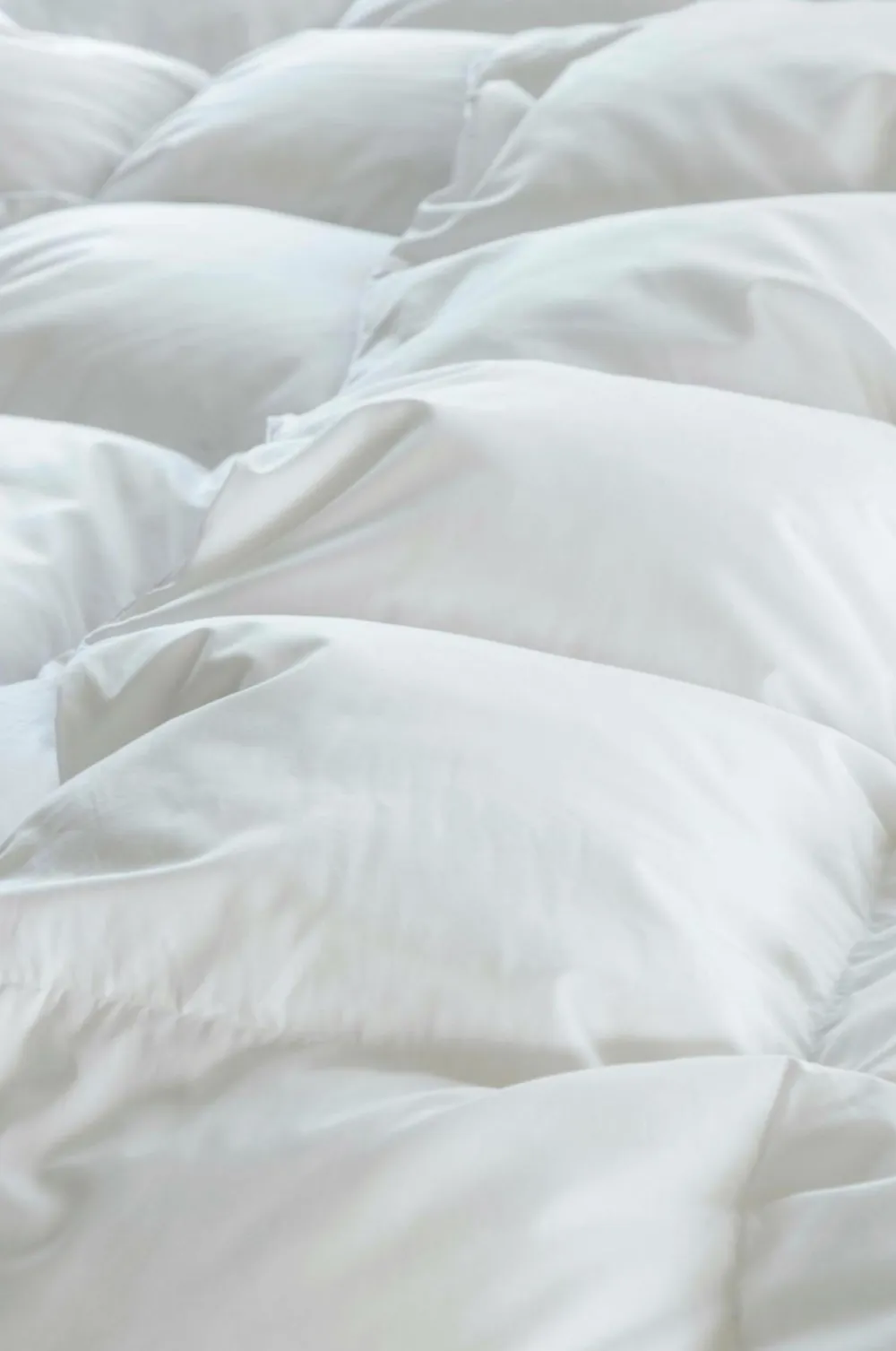 Norsk Dun Dyner & Hovedpuder>Dyne 100 % andedun Medium Hvid