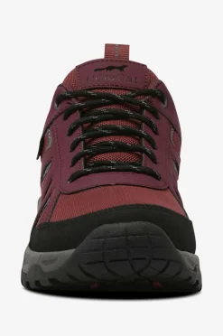 Polecat Walkingsko Sicco Lech GTX Bordo Clearance