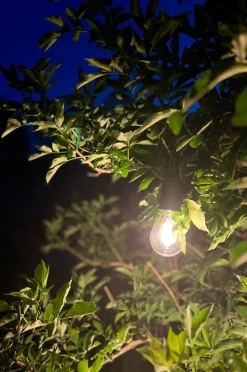 PR Home Lyskilder><noscript><img width=