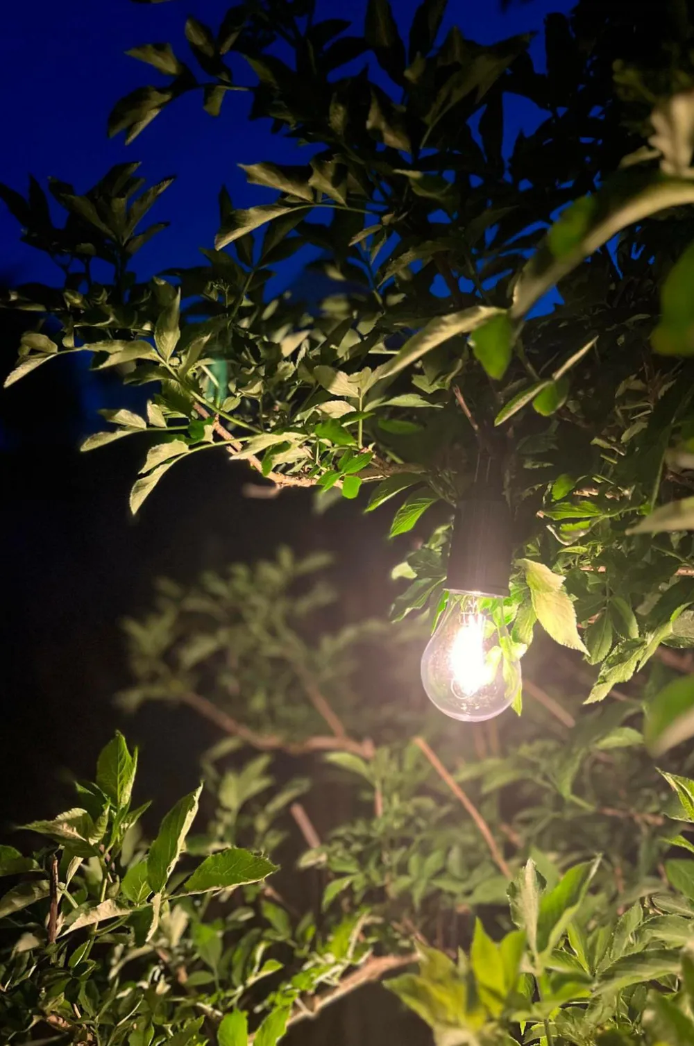 PR Home Lyskilder>Rechargeable Light Bulb Sort