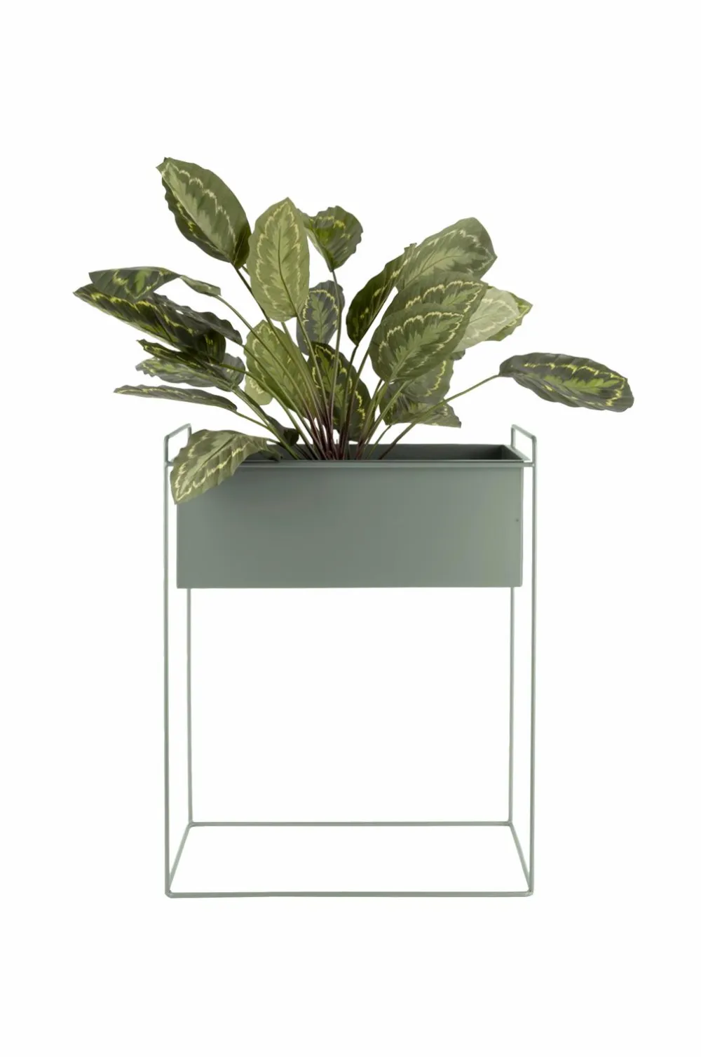 Present Time Plantekrukkesæt Essence Junglegrøn Clearance