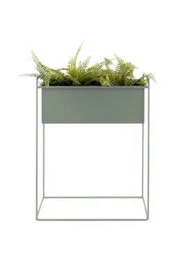 Present Time Plantekrukkesæt Essence Junglegrøn Clearance