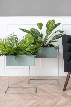 Present Time Plantekrukkesæt Essence Junglegrøn Clearance