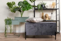 Present Time Plantekrukkesæt Essence Junglegrøn Clearance