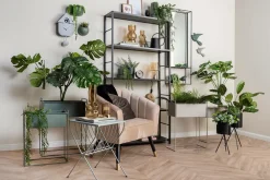 Present Time Plantekrukkesæt Essence Junglegrøn Clearance