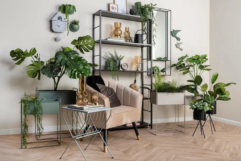 Present Time Plantekrukkesæt Essence Junglegrøn Clearance