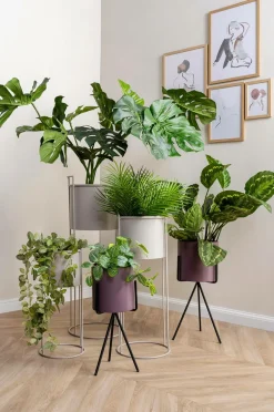 Present Time Plantepotte sæt Essence Grøn jungle New