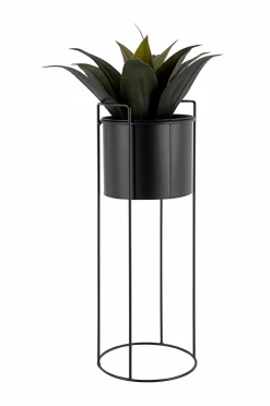 Present Time Potteskjulere><noscript><img width=