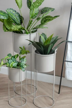 Present Time Potteskjulere><noscript><img width=