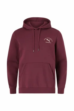Puma Hættetrøje Class Graphic Hoodie FL Ruby shimmer Online