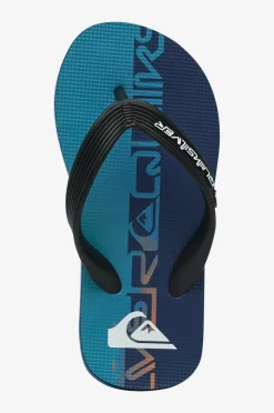 Quiksilver Sandaler>Flip flops Molokai Art 25 Youth Nebulas Blue Wordblock