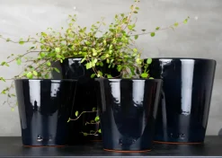 Rotor design Potteskjulere>Potte lille Sort