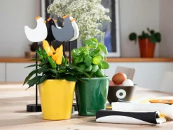 Rotor design Potteskjulere><noscript><img width=