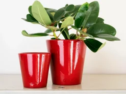 Rotor design Potte lille Rød Online