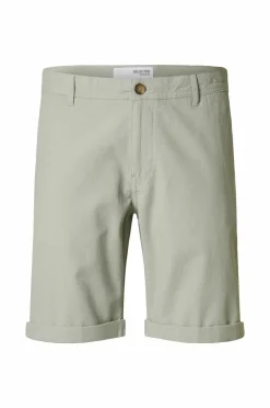 Selected HOMME Shorts>Shorts slhSlim-Luton Flex Iceberg green