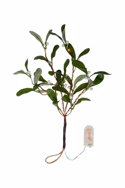 Star Trading Gren Mistel Grøn Hot