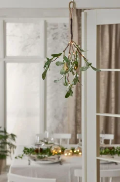 Star Trading Gren Mistel Grøn Hot