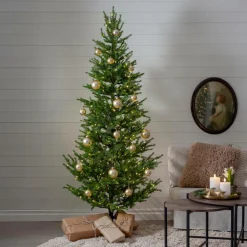 Star Trading Juletræ udendørs Malung, 200 cm Green Best