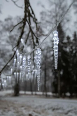 Star Trading Lyskæde med istapper Gelido Transparent Sale