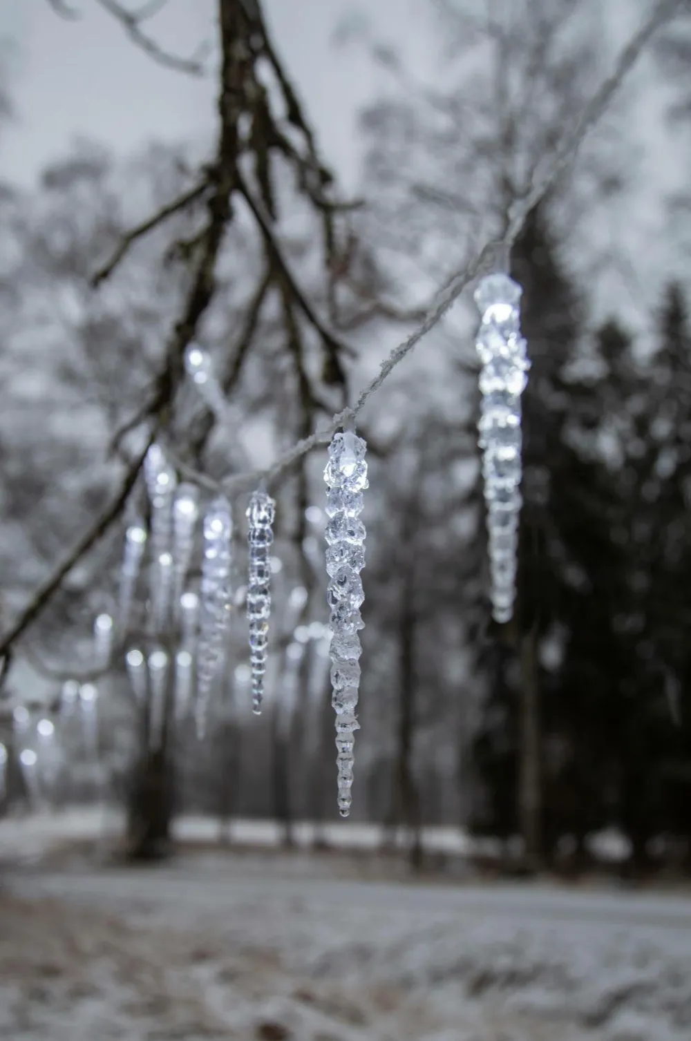 Star Trading Lyskæde med istapper Gelido Transparent Sale