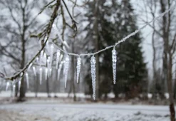 Star Trading Lyskæde med istapper Gelido Transparent Sale