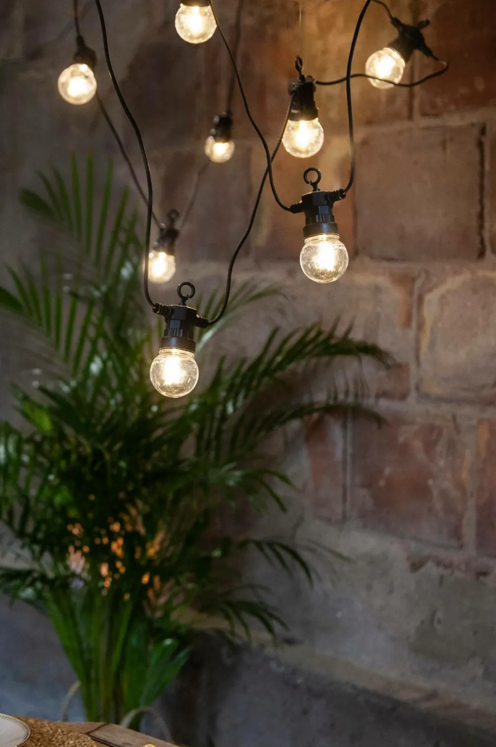 Star Trading Lyskæde Small Circus Filament, 20 led-pærer Sort Best