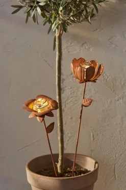 Star Trading Solcelledekoration Oxida Blomst 2-p Brun Sale