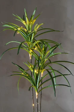 Star Trading Træ Bali 84cm Grøn New