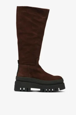 Steve Madden Støvler Chipp Dark brown Best