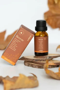 Volant Rumduft><noscript><img width=