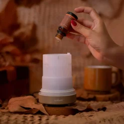 Volant Rumduft><noscript><img width=