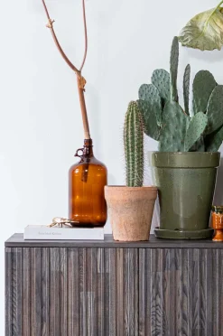 WOOOD Tv-Bænke>TV-bænk Gravure New 100 cm Espresso