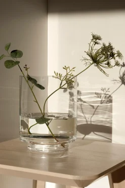 Zelected by Houze Vaser><noscript><img width=