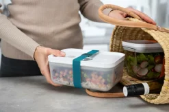 ZWILLING Elastikbånd til Fresh & Save boxe 3-pak Mixed colours Outlet