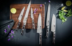 ZWILLING Kompakt kockkniv Tanrei 14 cm Brun, grå Best