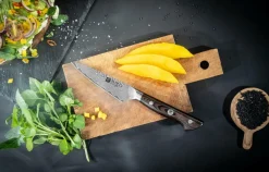 ZWILLING Skalkniv Tanrei 10 cm Brun, grå