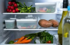 ZWILLING Vakuumbox Fresh & Save frysbox Gennemsigtig, hvid Hot