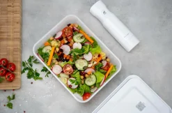 ZWILLING Vakuumbox Fresh & Save frysbox Gennemsigtig, hvid Hot